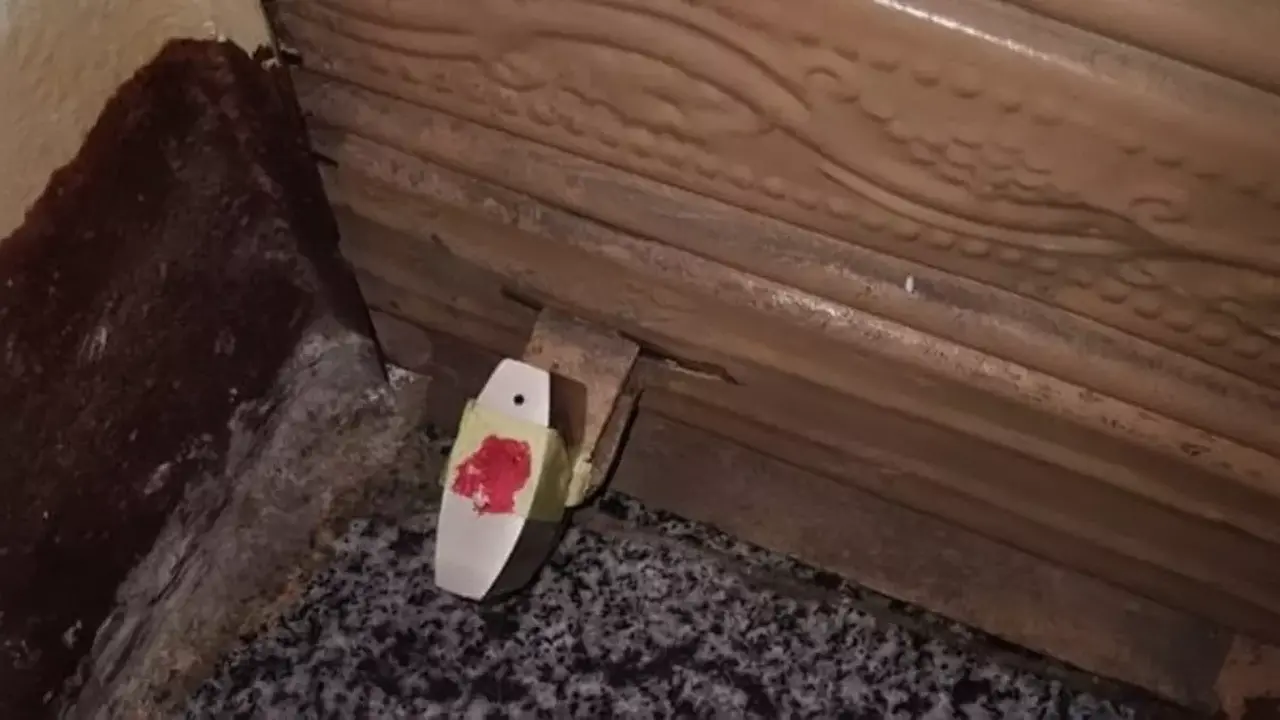 حملة أمنية بالإسكندرية تغلق 4 مقاهي وتفرض غرامات 3000 جنيه بسبب مخالفات قانونية